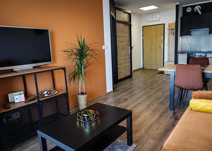 Ginger - Stare - Bezplatny Parking - Youtube Ginger We Wroclawiu *