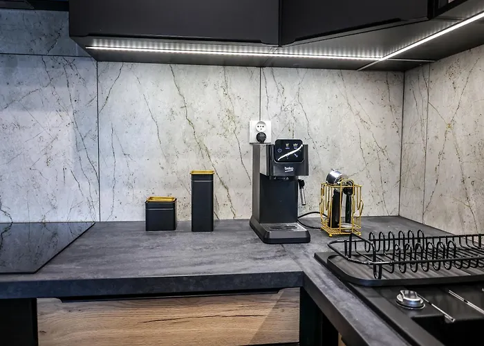 Ginger - Stare - Bezplatny Parking - Youtube Ginger We Wroclawiu Wrocław