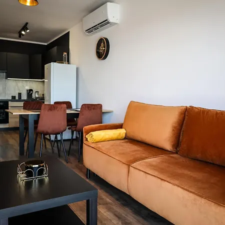 Ginger - Stare - Bezplatny Parking - Youtube Ginger We Wroclawiu * Wrocław