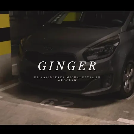 Ginger - Stare - Bezplatny Parking - Youtube Ginger We Wroclawiu Wroclaw