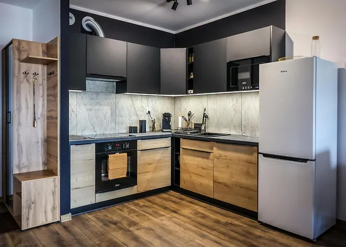 Ginger - Stare - Bezplatny Parking - Youtube Ginger We Wroclawiu Lejlighed Wrocław